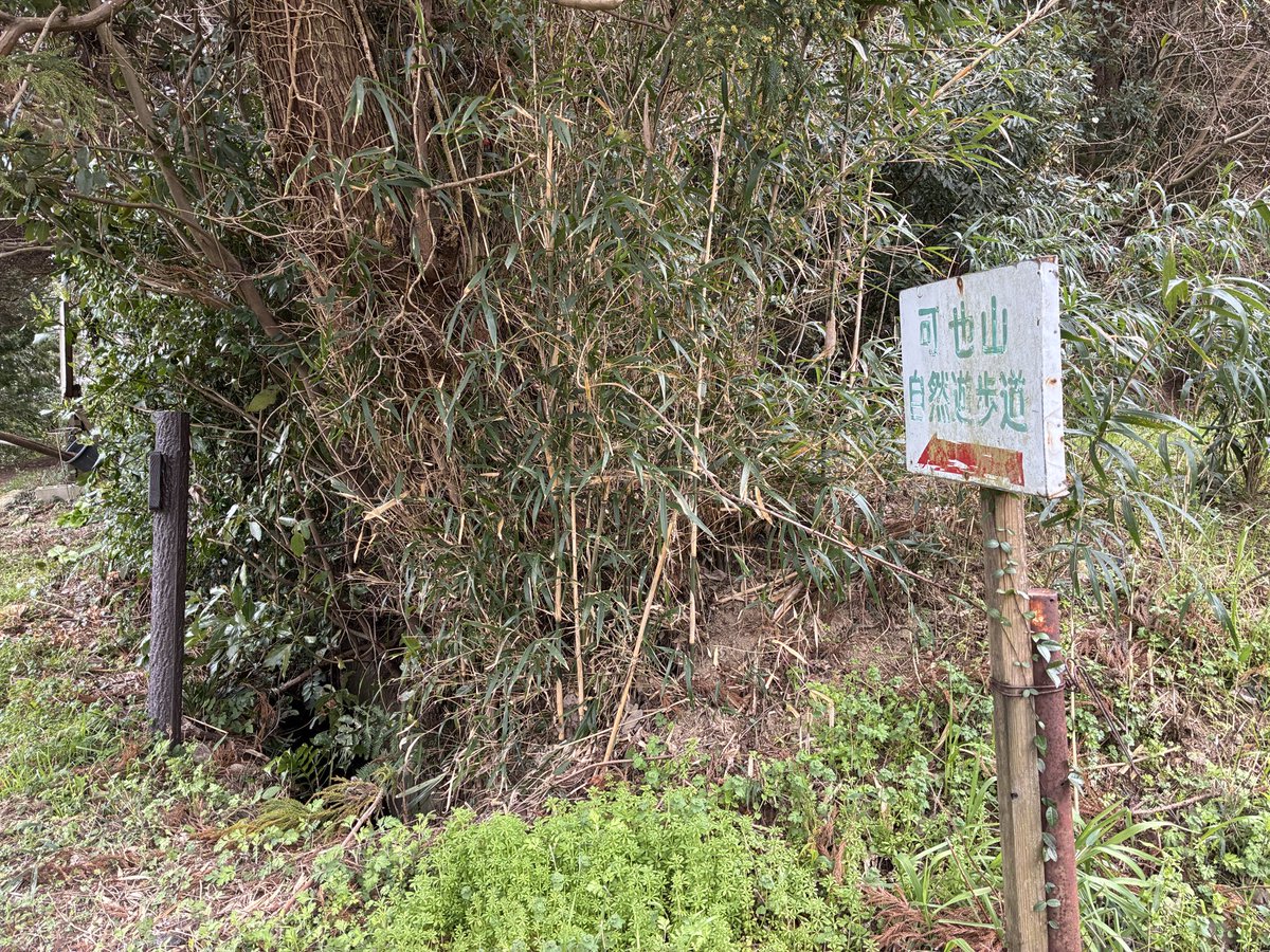 1cn_op's tweet photo. 登山だよーーー！ https://t.co/u9NUMexUwL