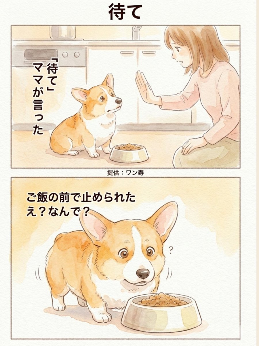 わんわん物語@ワン寿 tweet media