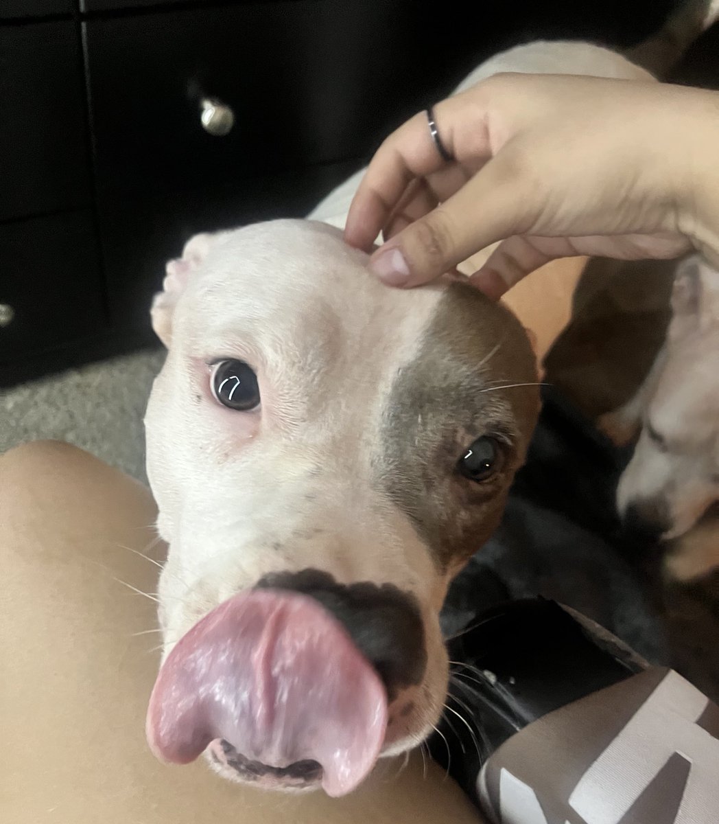 pragmatic anti-hero🇵🇷 🇨🇴 tweet media