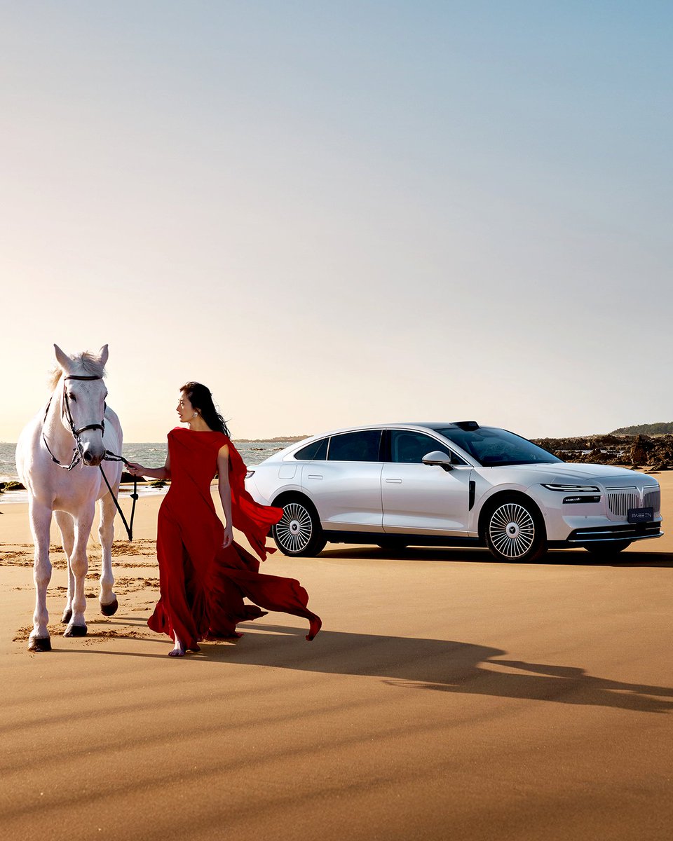 VOYAH Global tweet media