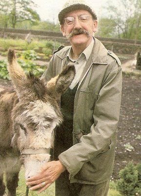 Izzy Saks tweet media