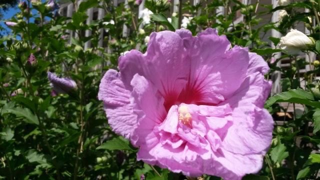 Izzy Saks tweet media