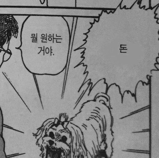 드립짤모음 tweet media