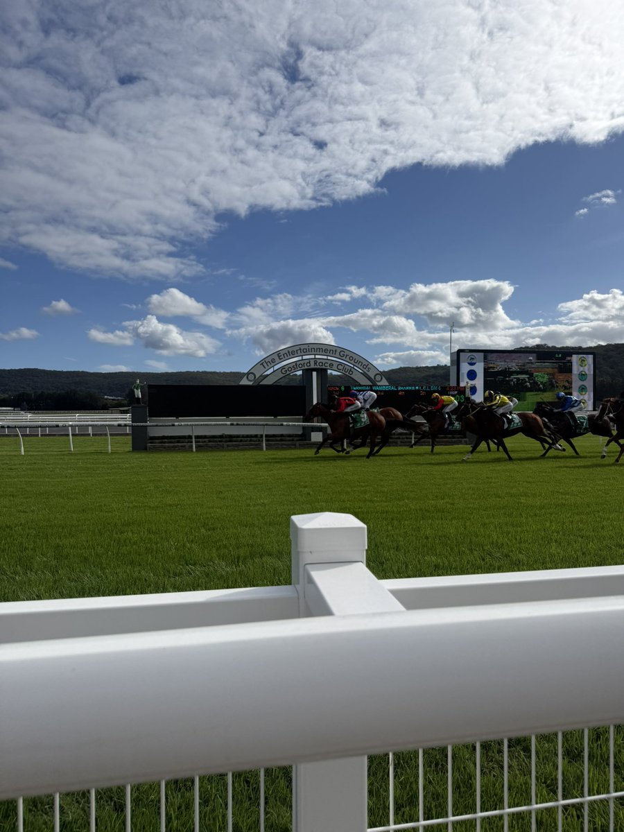 Gosford Race Club tweet media