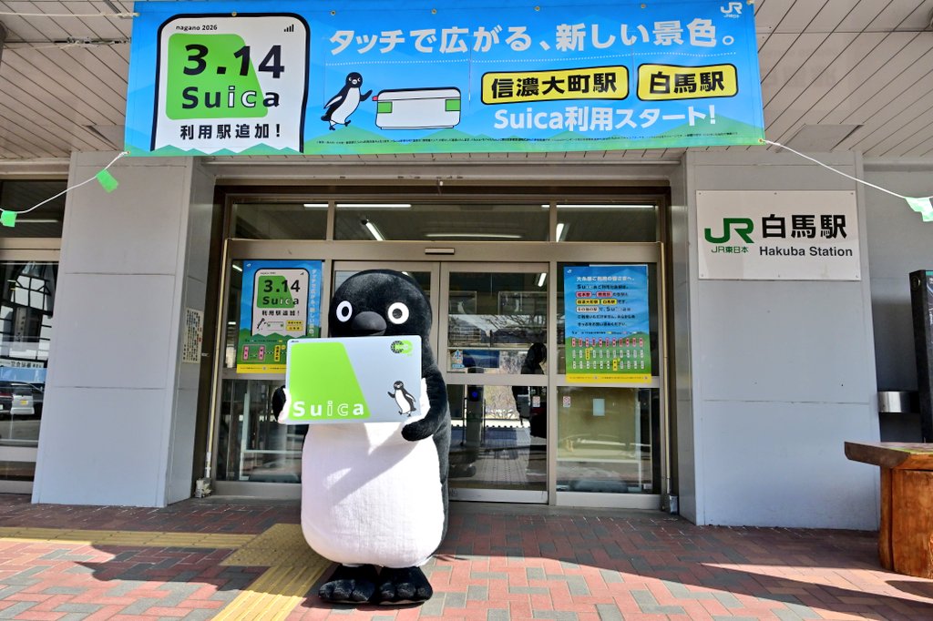 さちどんΣ└|∵|┐🟢🐧❄️🐻⛄️🐗 tweet media