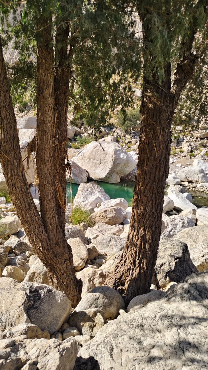 غلط جگہ پر، اگر آپ اپنا بہترین بھی پیش کریں، تب بھی وہ کبھی کافی نہیں ہوگا جبکہ صحیح جگہ پر،آپ کا محض موجود ہونا ہی، قابل ستائش اور خوشی کا باعث ہوتا ہے ,اس لیے کبھی کبھی کچھ چیزوں سے پیچھے ہٹ جانا ہی آگے بڑھنے کا بہترین راستہ ہوتا ہے.