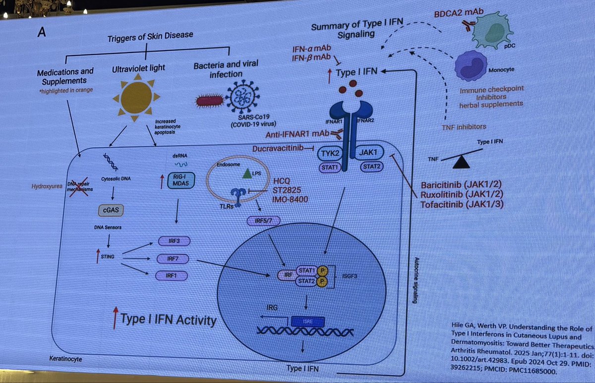 ILLIASUL IBAD tweet media