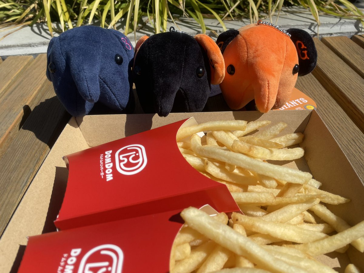 🐮akane🐮 tweet media