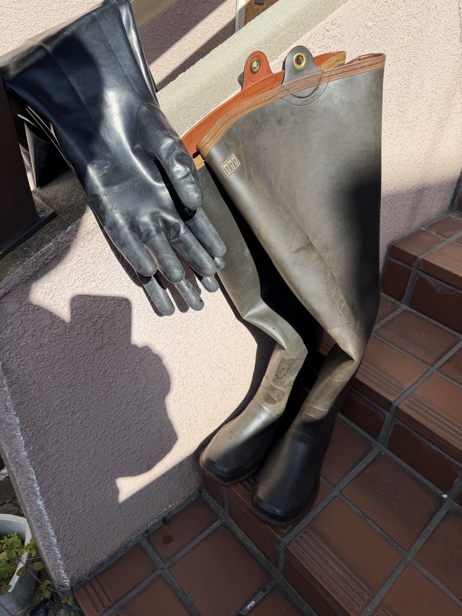 RB lover tweet media