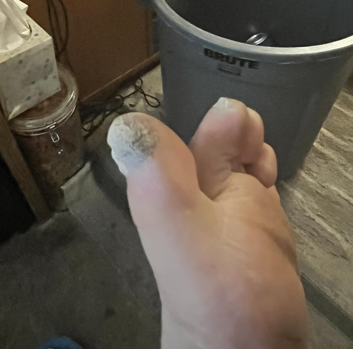 Perry Caravello Live tweet media