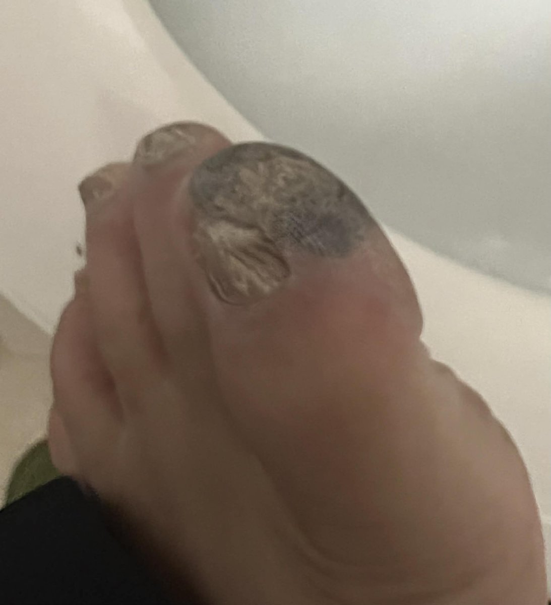 Perry Caravello Live tweet media