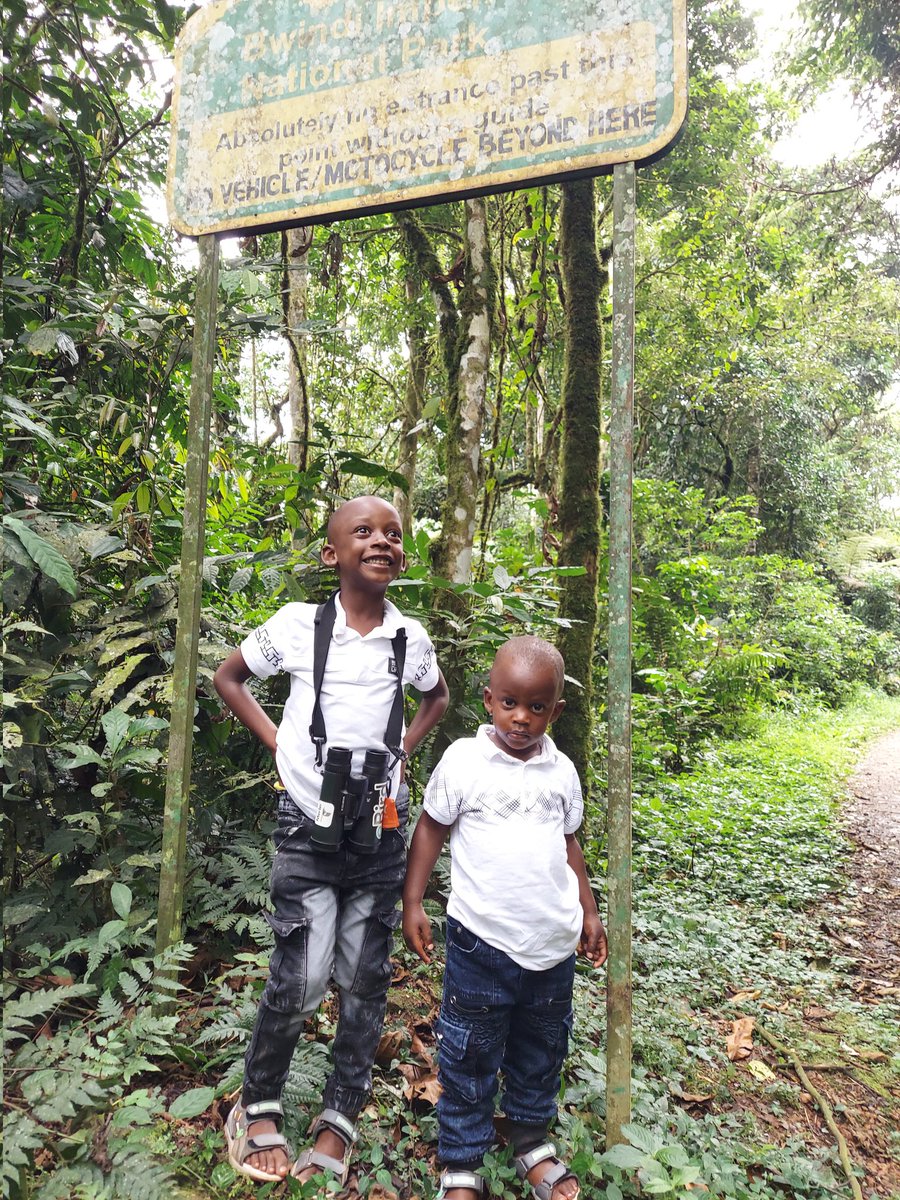 MatthewBirder's tweet photo. Took a walk at the head office of the bwindi impenetrable national park Uganda . Ahome of ahalf of the world's mountain gorillas. https://t.co/RXOK01K3TU