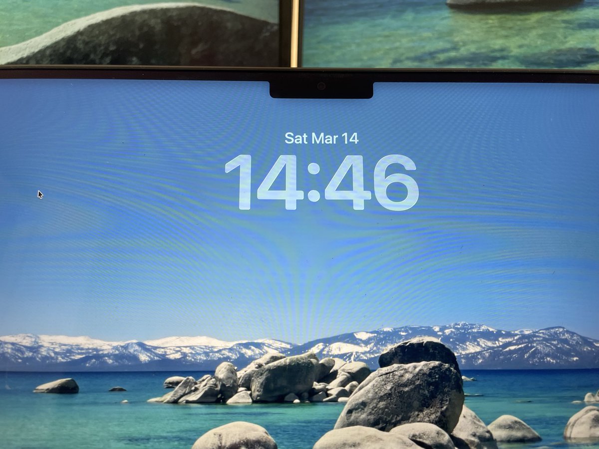 エンせい tweet media