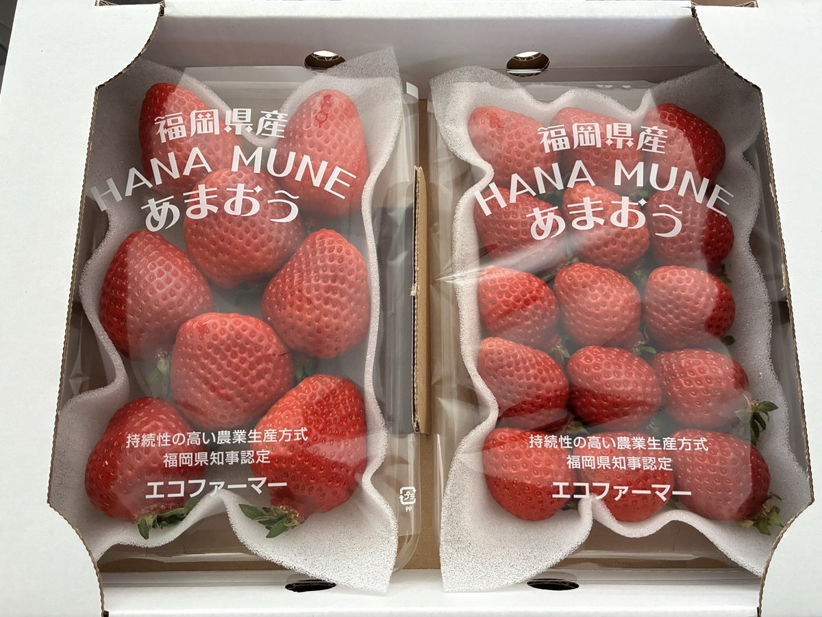 ryryryryry8's tweet photo. 福岡県大木町よりふるさと納税の返礼品として、あまおう1080gが届きましたよっと。
写真の箱が2段で合計4パックです
美味しそう！ https://t.co/wm8AiDoZ7e