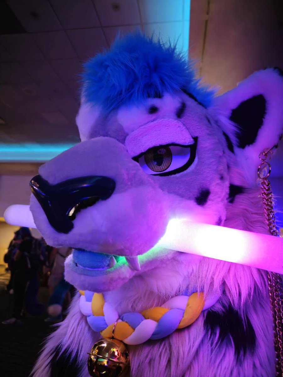 Swifty🔜FWA tweet media