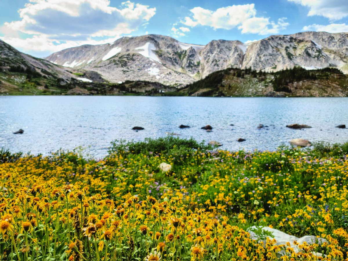 VoX11_11's tweet image. #springseason