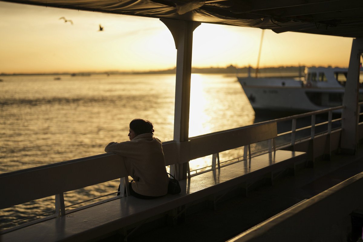 Petar Sohfif tweet media