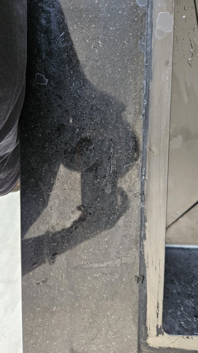 Deeksha Sharma tweet media