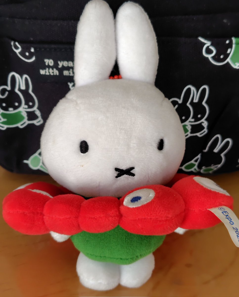 mo_mo_kaaaaaaaa's tweet photo. ミャクミャク浮き輪ミッフィー(・ⅹ・） https://t.co/32hevvGZ6G
