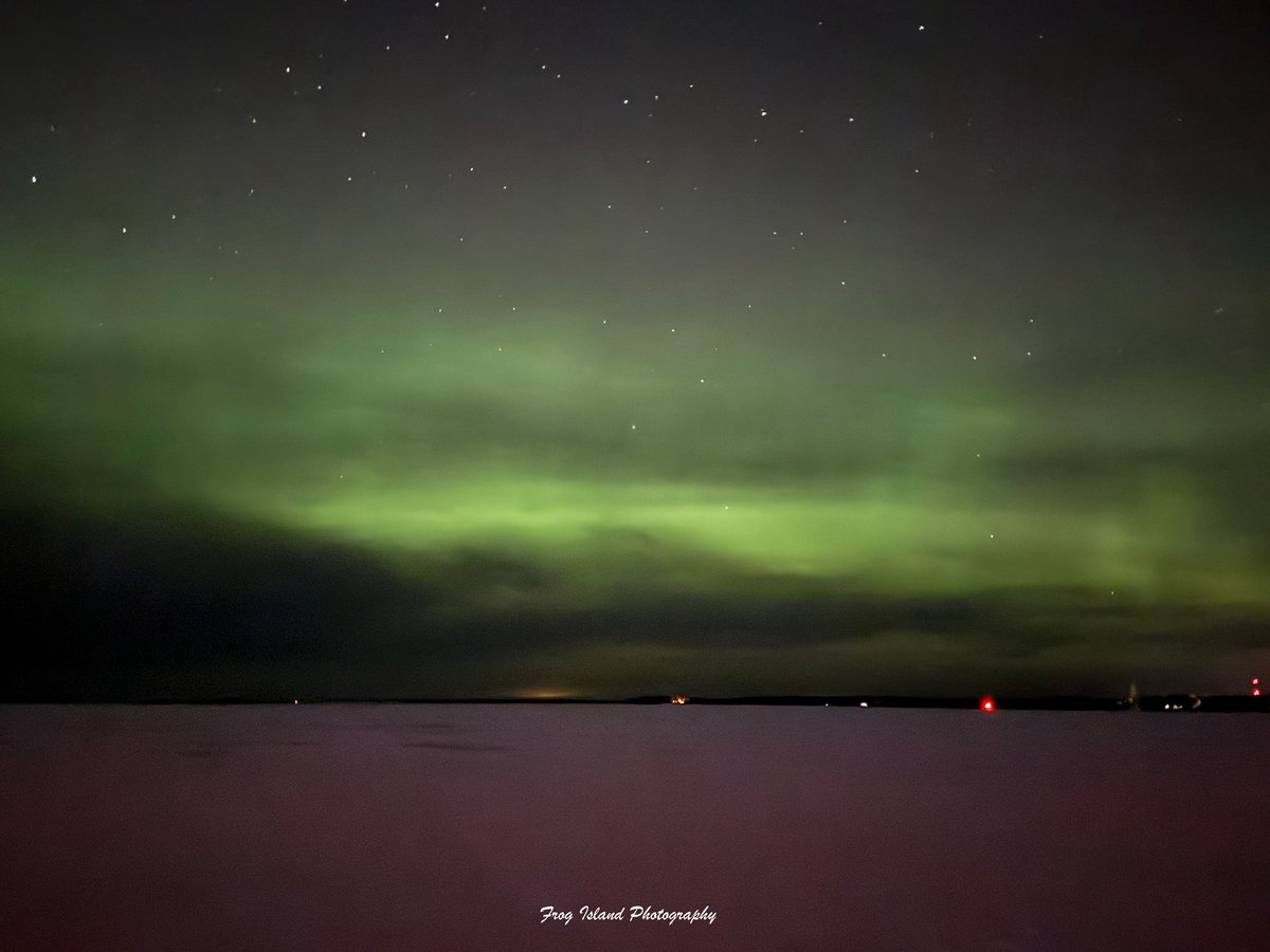 Frog Island Photography tweet media