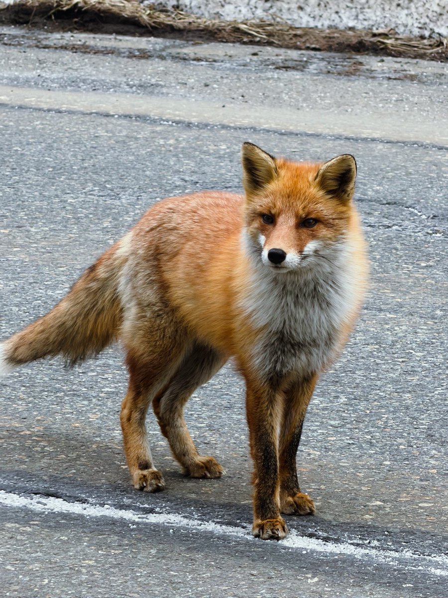 K,O🪐4/26 M3春【か-09b】 tweet media