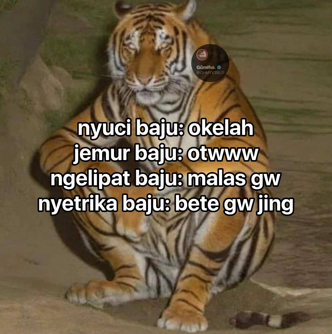 Gümiho. (@ohmyv3nus) on Twitter photo 