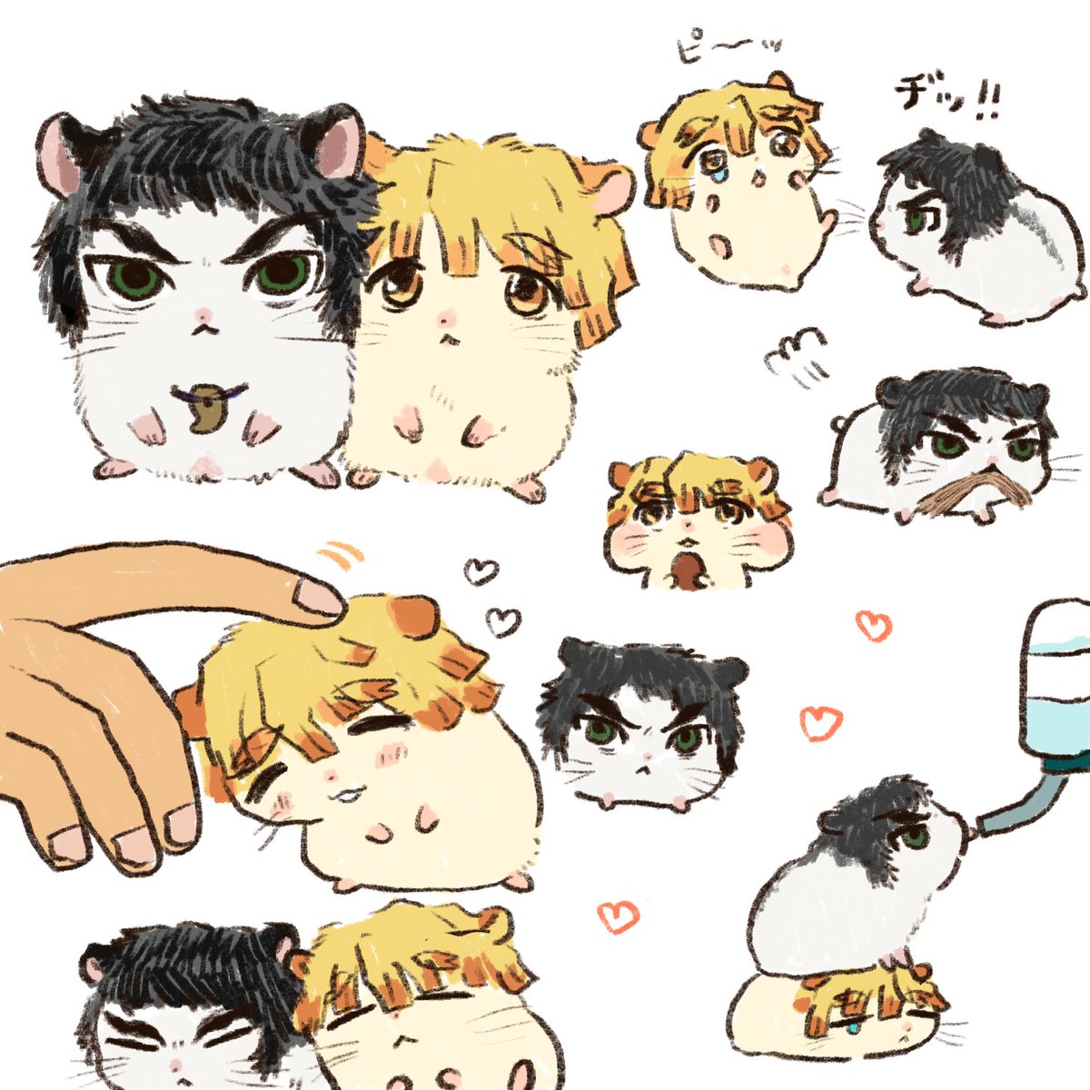 lovehamu222's tweet photo. 🐹 https://t.co/N0o2AS8f1k