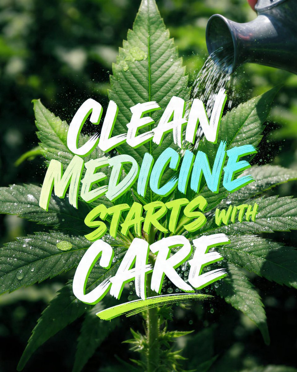 Getting good cannabis medicine doesn't just happen. It takes real care from the ground up and sensible rules everyone can follow. That's how we protect consumers and help dedicated small businesses grow. Let's make sure our policies reflect that common sense approach.