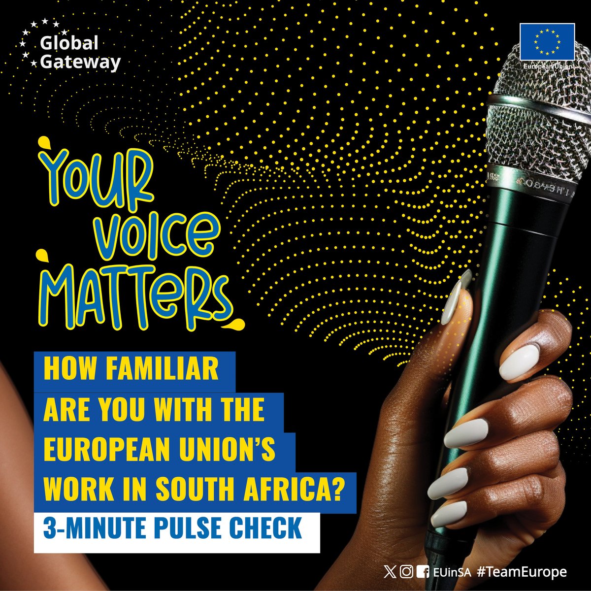 EU in SA tweet media