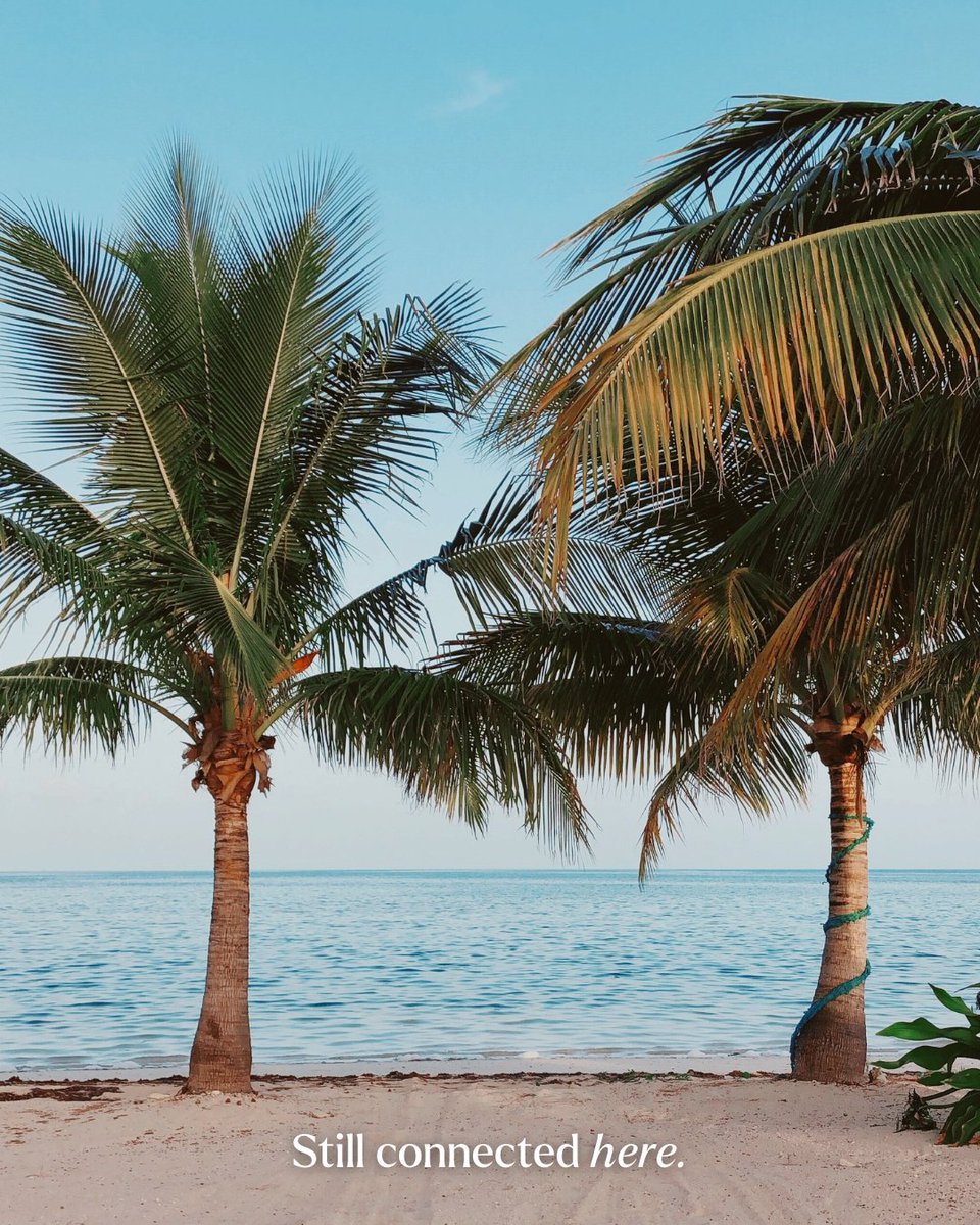 KnowRoaming tweet media