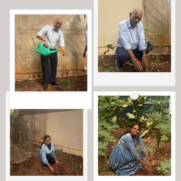 JuteBoard's tweet photo. Textiles Committee at its Hqrs and Regional Office, organised a tree plantation drive within the office premises The event aimed to spread awareness about cleanliness and promote a healthier environment 📷 #TextilesCommittee #MinistryOfTextiles
#SwachhataPledge #SwachhBharat https://t.co/TwAveFDH42
