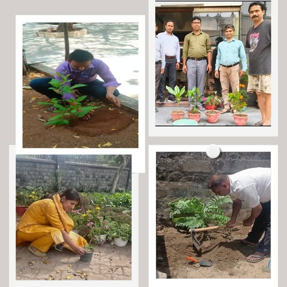JuteBoard's tweet photo. Textiles Committee at its Hqrs and Regional Office, organised a tree plantation drive within the office premises The event aimed to spread awareness about cleanliness and promote a healthier environment 📷 #TextilesCommittee #MinistryOfTextiles
#SwachhataPledge #SwachhBharat https://t.co/TwAveFDH42