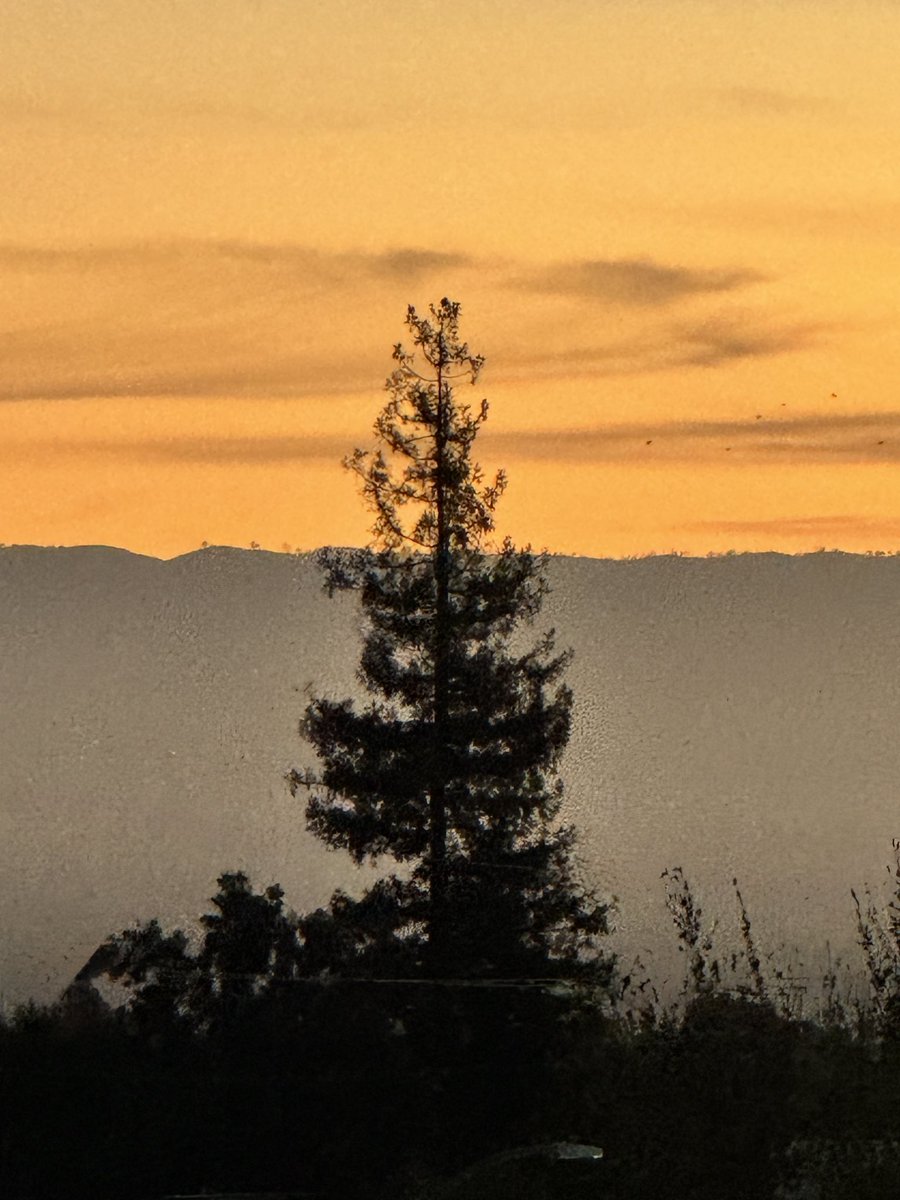 <a href="/keeper_of_books/">Adam Treeshepherd Rutsch</a> Good morning