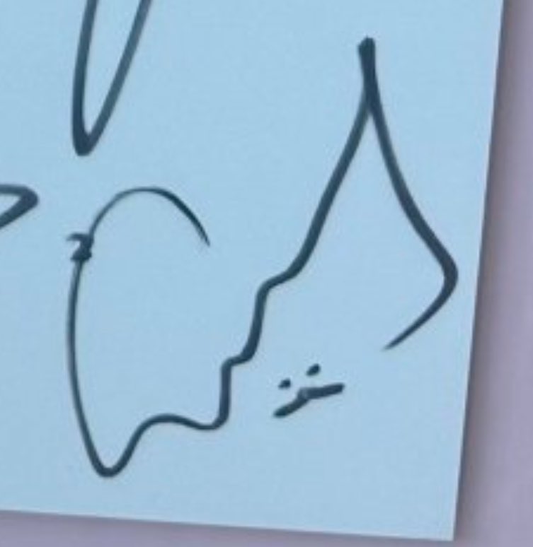 싸인에 롱카게 박아넣은거 진짜 말도 안됨
이게..나…?하던 시기를 지나 이제 즐기고 있잖아
이런걸로도 웃겨줘서 심심할 틈을 안 줌