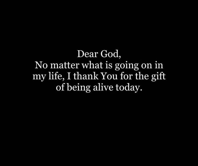 TEAONA🦅 tweet media