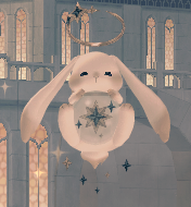 쭈 일기⭐ tweet media