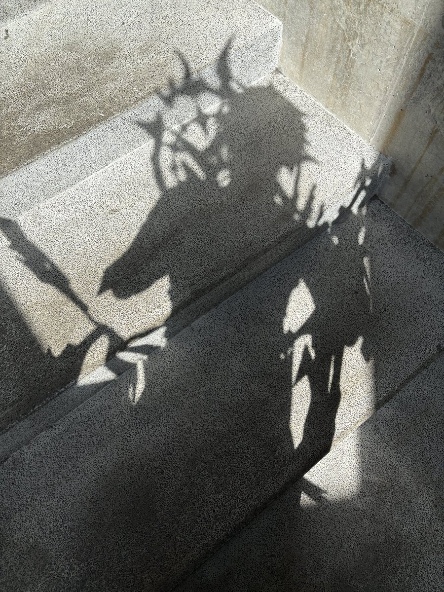 ヘイローのシルエットよき☺️