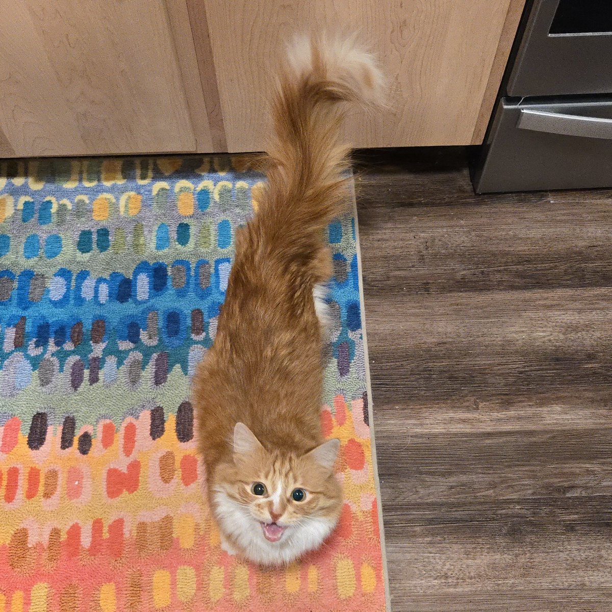 Copper (like the metal) tweet media