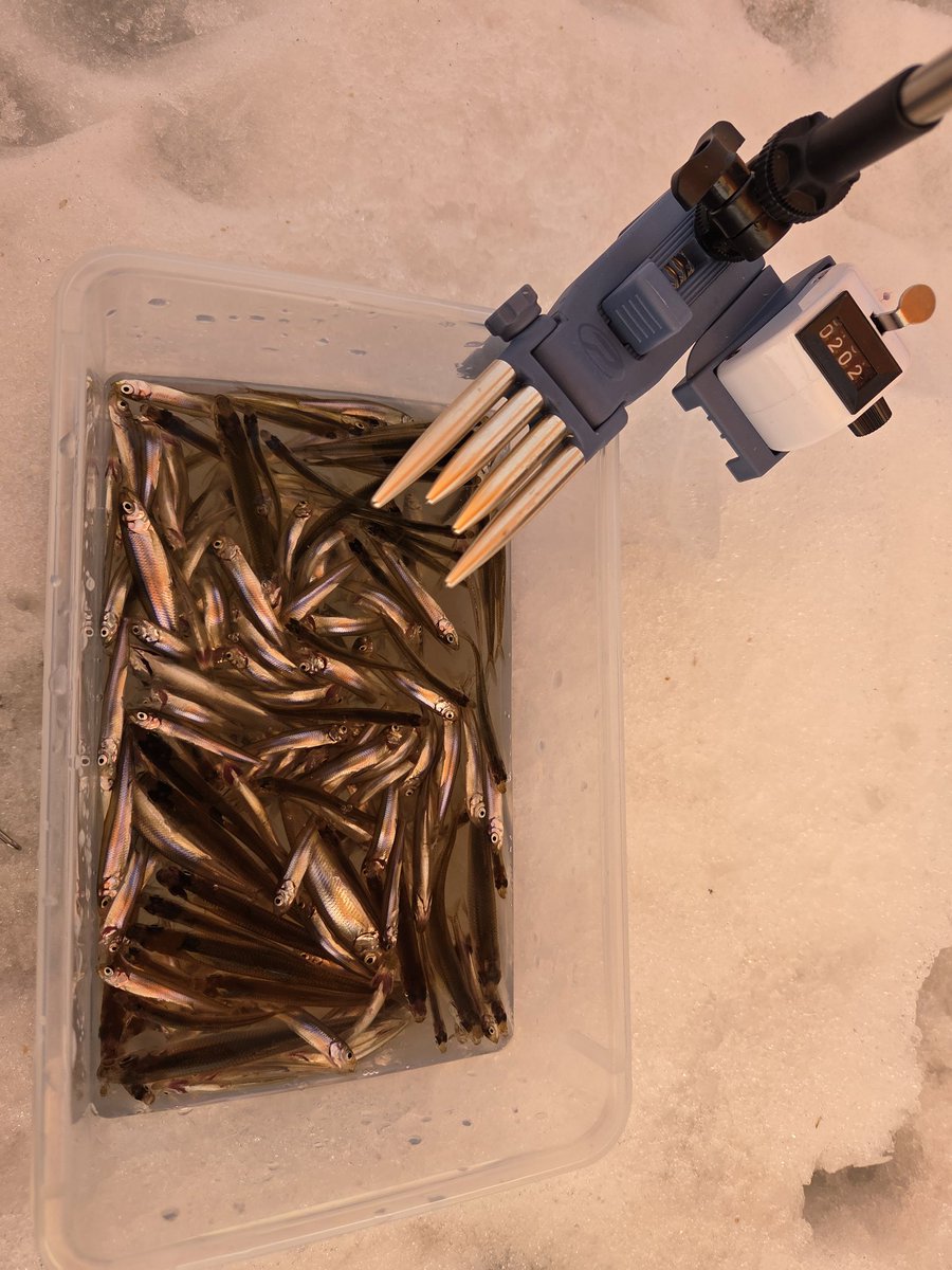 よーきゃん tweet media