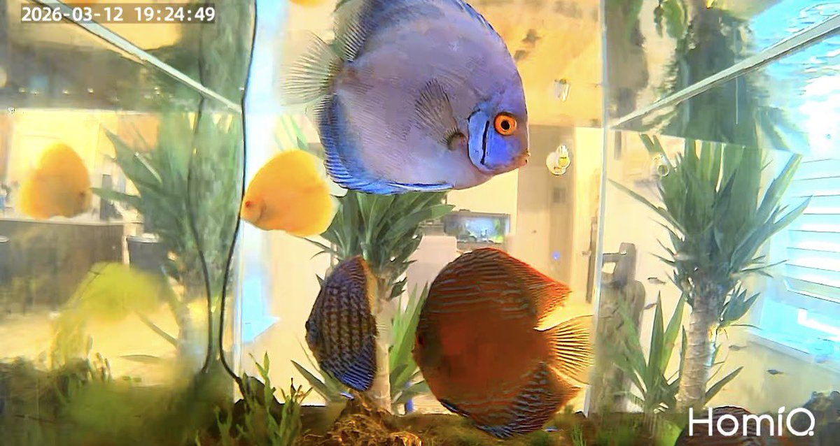 Alaska Guy tweet media