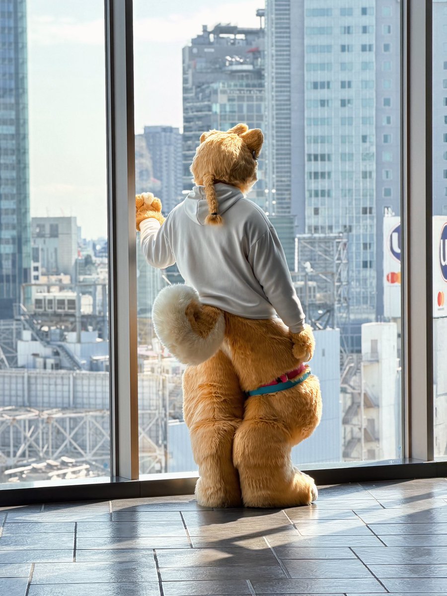 ハブちゃん➡️HiFurry tweet media