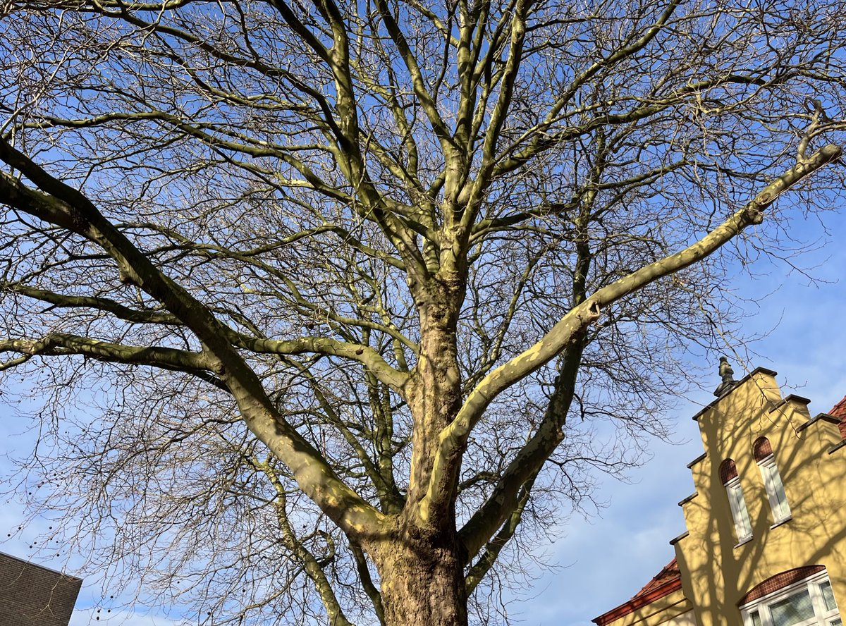 jasmine ✮⋆˙ tweet media