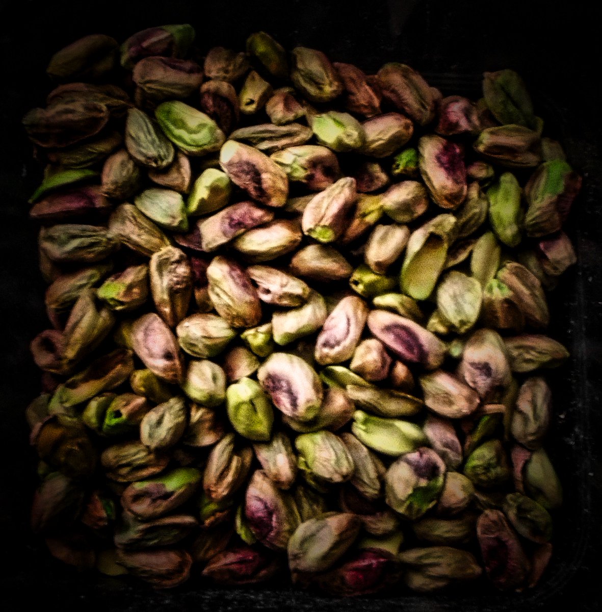 Daily Picture Theme tweet media