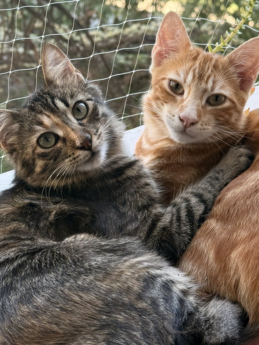 Jérémy. 🫧 tweet media