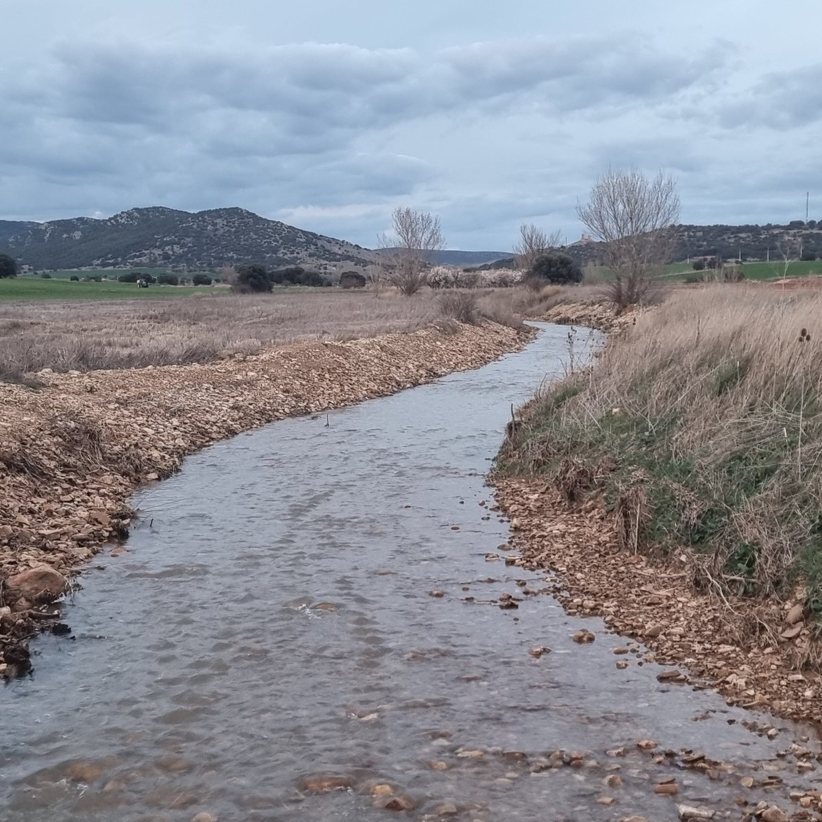 CIGALLOCANTA's tweet photo. Temperatura 🌡  a las 8h  5.8°
Acumulación agua de ☔️ 2 litros.
Buen y feliz día para todos
#lagunaDeGallocanta 
Sábado 14 de marzo https://t.co/rukfn3W7Xy