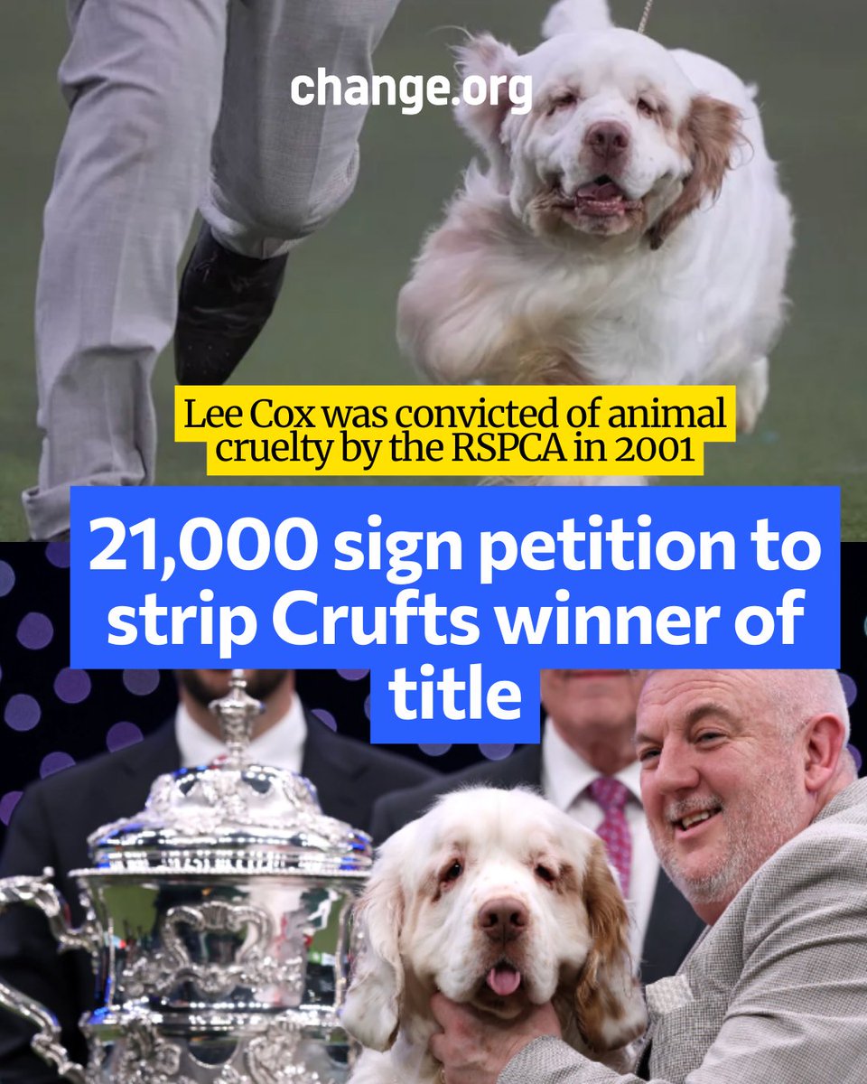 Change.org UK tweet media