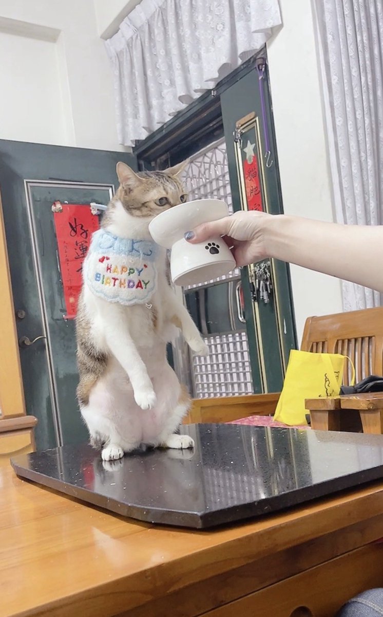 嚕嚕薯餅 tweet media