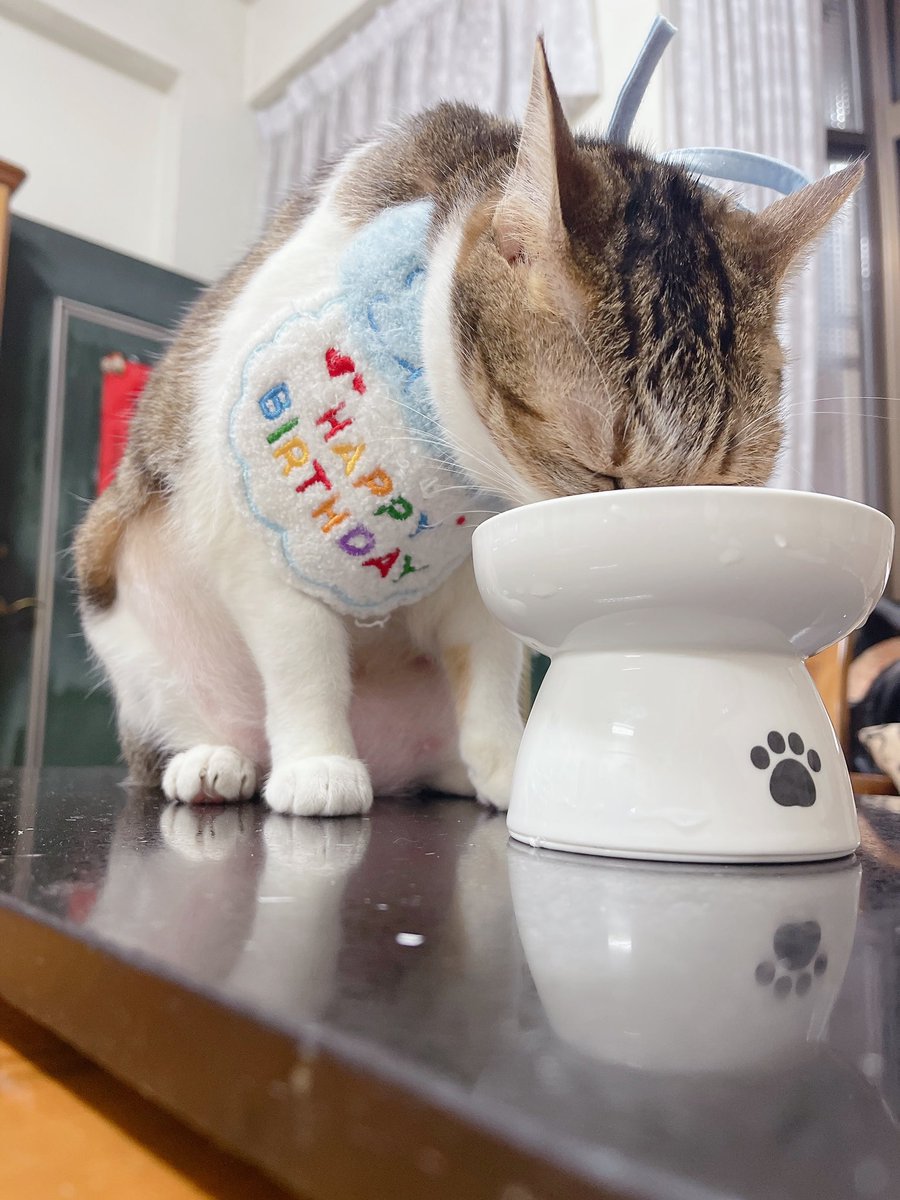 嚕嚕薯餅 tweet media