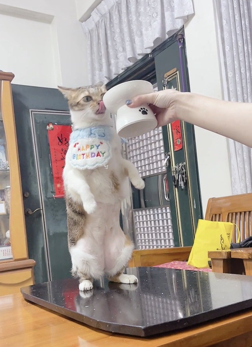 嚕嚕薯餅 tweet media