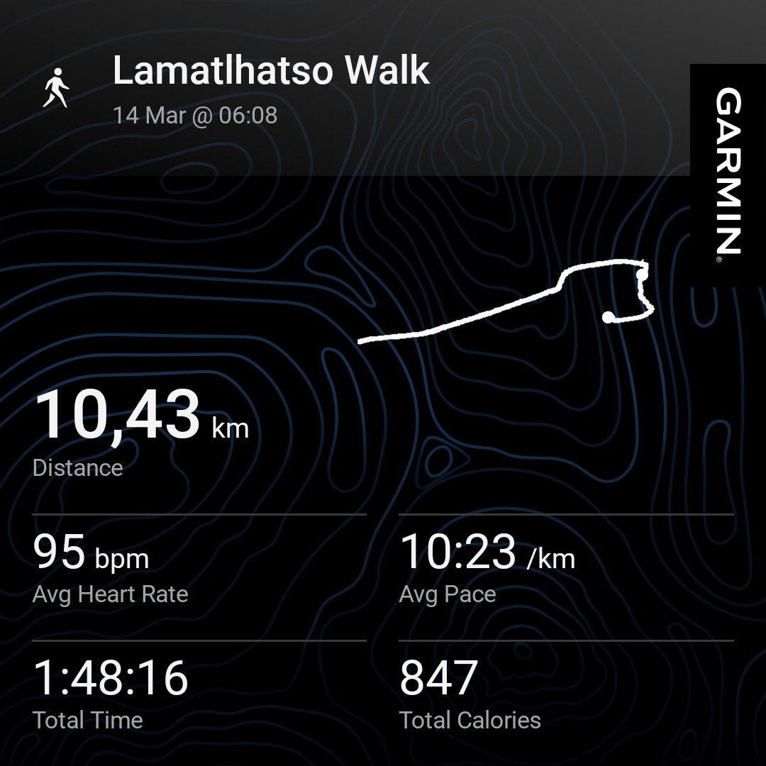 Dizzyhova tweet media